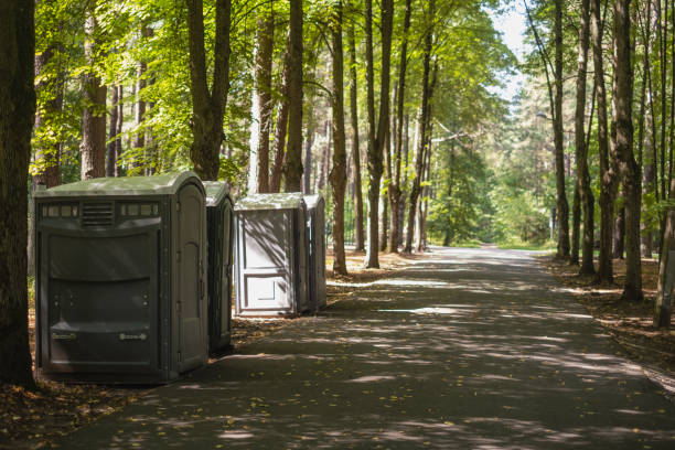 Portable Toilet Options We Offer in Lakeview, CA