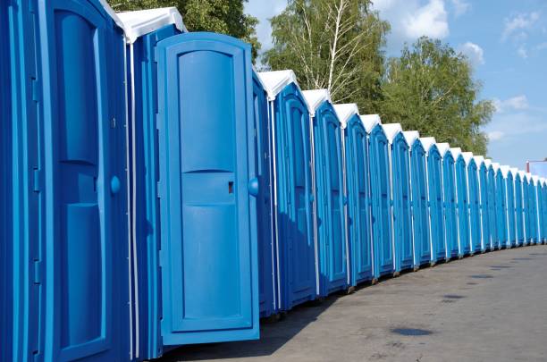 Best Sanitation services for porta potties  in Lakeview, CA